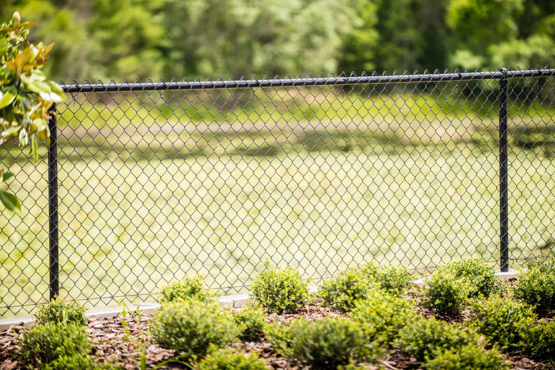 Chain link fence example
